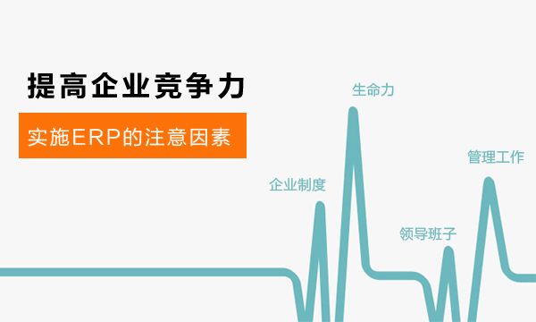 ERP没有“预期”，成功该从何谈起？